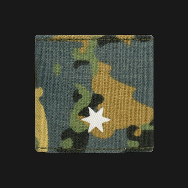 Tarnanzug Neu (Bundesheer) Rank/Insignia